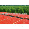 Dried natural Goji Berry/Wolfberry